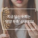 웰킨 천호점
