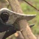 신효동-27 이미지