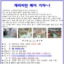 산남용인대태권도장 이미지