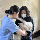 (주)한국감염관리본부 이미지