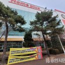 왔다마트 이미지