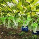 서야농장 이미지