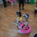 성북병설유치원 이미지