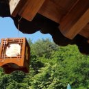 강릉신나는펜션 이미지