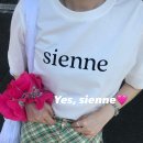 샌디블루 이미지