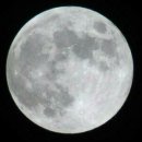 성균관태권스쿨 이미지