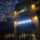 울산 남구 무거동 궁거랑 벚꽃뷰맛집 미진돌곱창