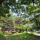 수덕목장 네이버블로그