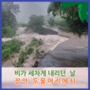 월광천 네이버블로그