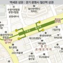 부동선