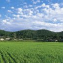 산뒤 마을 이미지