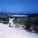 1946 이미지