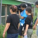 울산아지매 이미지