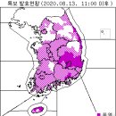 8월 13일(목요일) 08:00 현재 대한민국 날씨 및 특보발효 현황 (울릉도, 독도 포함) 이미지