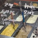 지베젤라 이미지