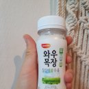 싱싱애