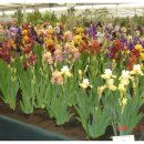 길게임장 이미지