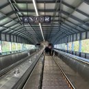 나오라쇼 공연장 이미지