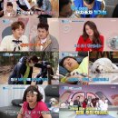 (주)펫투데이 이미지