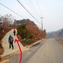 위1리경로당 Daum카페