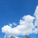 주안청주보쌈 이미지