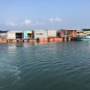 인어좌대 이미지