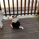 만리포소풍펜션 이미지