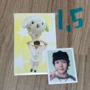 버블냥 | 💚 엔시티 위시 팝업 후기 💚 위시팀 고능 인정! 💚 팝업 다녀온 팬심 가득 후기 (버블냥, 위시돌, MD존)