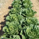 소슬농장 이미지