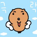 원당부대찌개 이미지