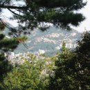 성은주유소 이미지