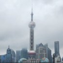 신양파크호텔 (예원) | 중국 상하이 3박 4일 여행: 미식, 야경, 문화 체험 &amp; 파크 호텔 추천