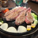 상남동240 | 창원 상남동 징기스 내돈내산 다녀옴 양고기 입문자도 반한 곳