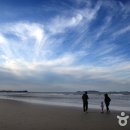 몽산포오토캠핑장 이미지