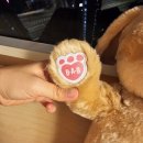 [홍콩] 여행 준비 및 1일차(항공권, 호텔, 딤섬스퀘어, 베이크하우스, 빌드어베어, 후통, 침사추이)