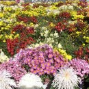 광주광역시청 B 이미지