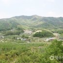 하촌3리 티스토리