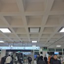 조아렌트카 주식회사 | 제주 렌터카 추천 조아렌트카 내돈내산 더 뉴 팰리세이드 8인승