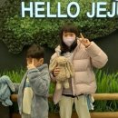 서영이네해돈가