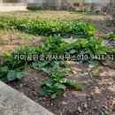 진삼로 628 이미지