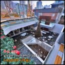 뉴올리브숲 | [부산] 서면 중심가의 대형카페로, 숲속 같은 아늑한 분위기 카페 'LASOOP(라숲)' (★★★★)