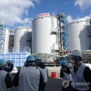 韓 시찰단 반색하는 일본…후쿠시마 수산물 수입 요청도-연합뉴스 이미지