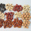 동부잡곡