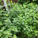 방아다리공원 화장실 이미지