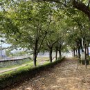 북문교 | 내포천주교순례길5코스 완주~