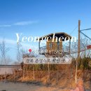 잭큐몬티562 이미지