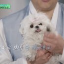 꽃분이
