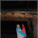 뽀미농장 이미지