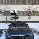 유천세차장 이미지