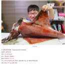 충무로 춈미 추천 맛집 인현해물 내돈내산 후기 강민경 날개오징어